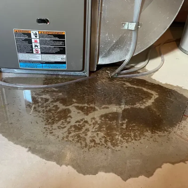 Appliance Leak Cleanup in Freeport, ME